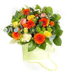 Test 3