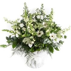 Test 4
